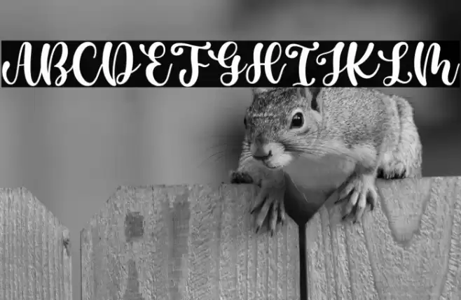 Casking Cream Script Font examples