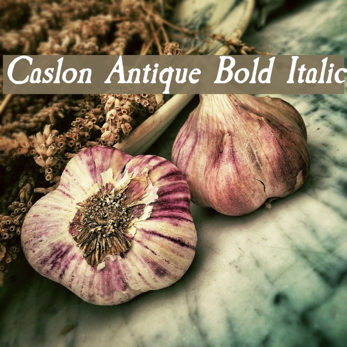 Caslon Antique Bold Italic Font examples