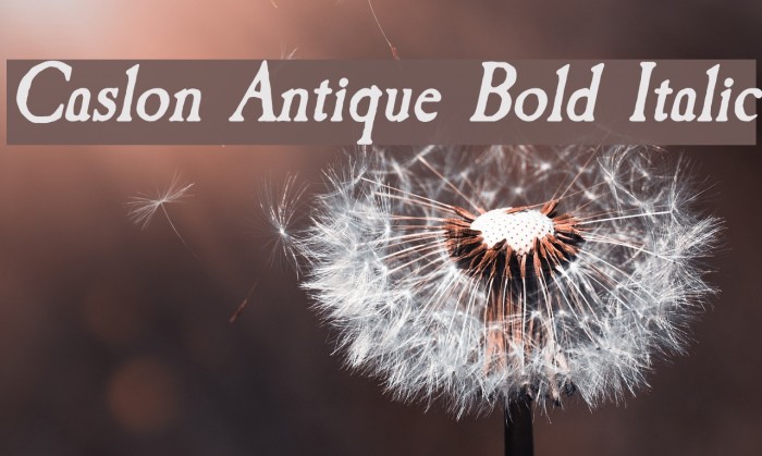 Caslon Antique Bold Italic Font examples