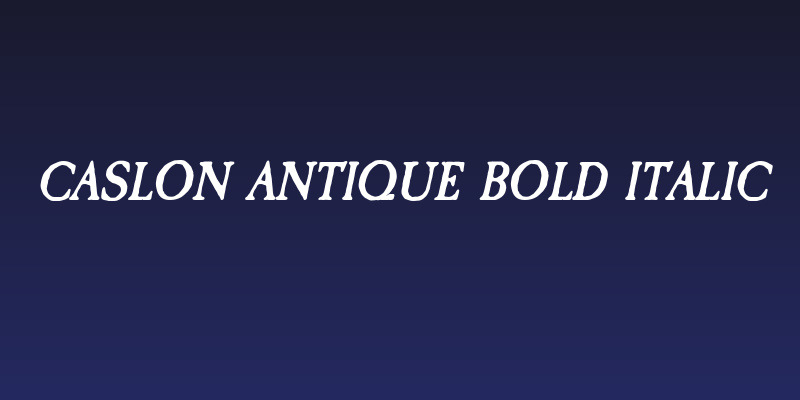 Caslon Antique Bold Italic Social Header