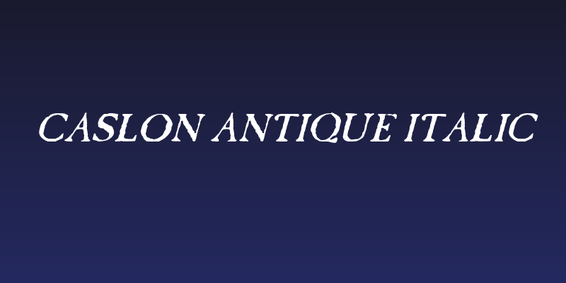 Caslon Antique Italic Social Header