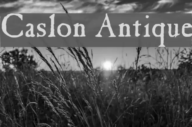 Caslon Antique Font examples
