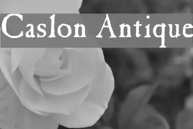 Caslon Antique Font examples
