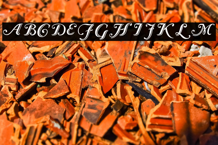 Caslon Calligraphic Initials Example 1