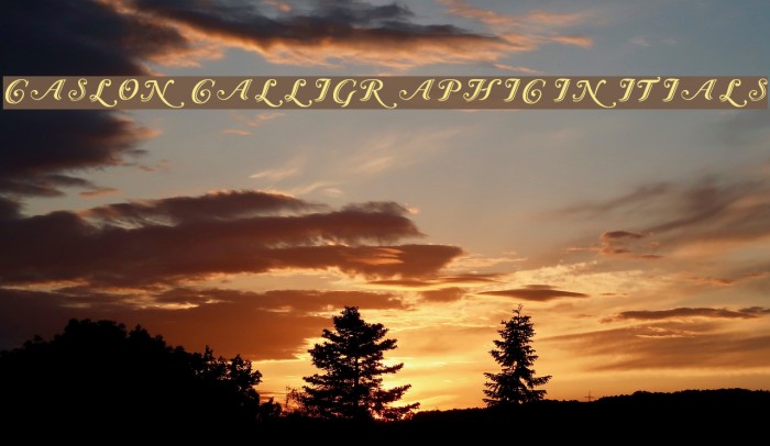 Caslon Calligraphic Initials Font examples