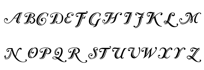 Caslon Calligraphic Initials Font LOWERCASE
