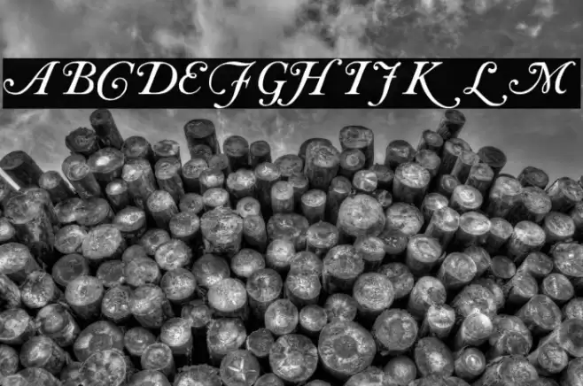 Caslon Initials フォント examples