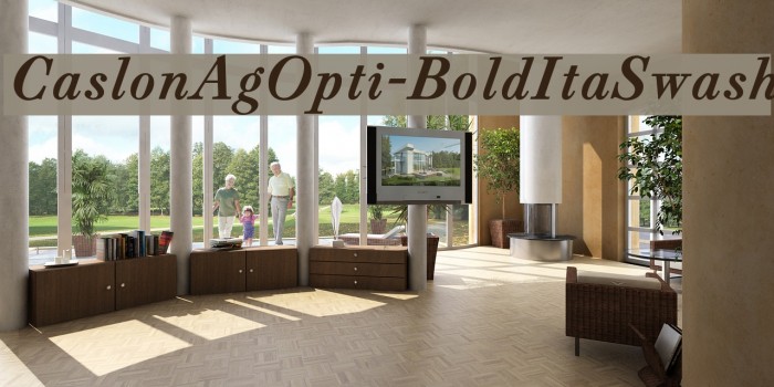 CaslonAgOpti-BoldItaSwash Font examples