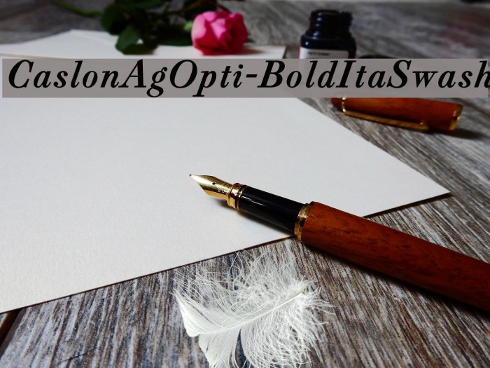 CaslonAgOpti-BoldItaSwash Font examples