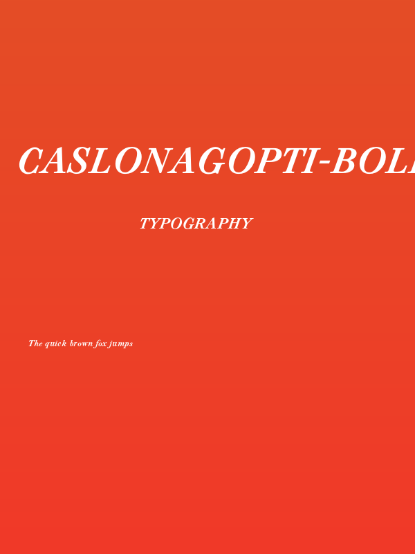 CaslonAgOpti-BoldItaSwash Poster