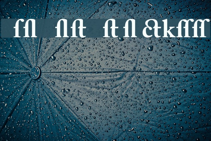 CaslonAlternateBlackSSK Example 2