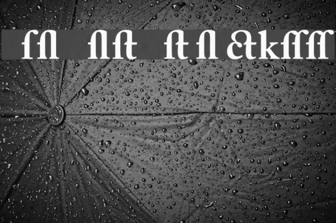 CaslonAlternateBlackSSK Font examples