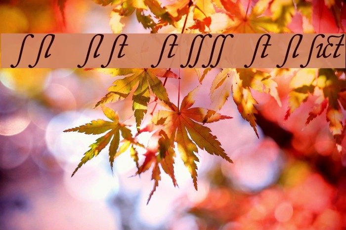 CaslonAlternateSSK Italic Font examples