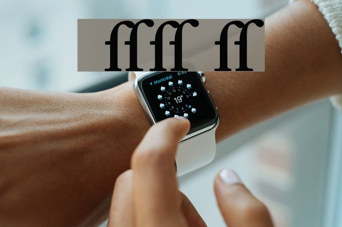 CaslonAlternateSSK SemiBold Example 3