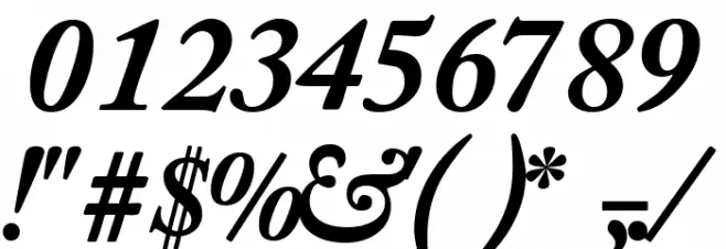 CaslonBlackSSK Italic Font OTHER CHARS