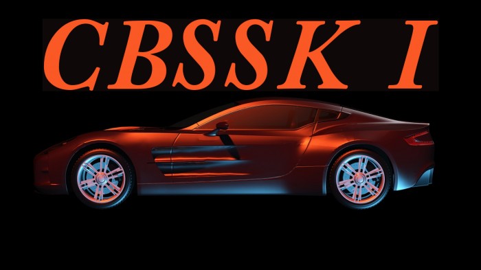 CaslonBlackSSK Italic Font examples