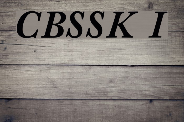 CaslonBlackSSK Italic Font examples