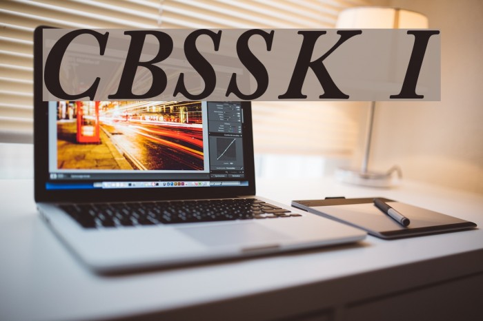 CaslonBlackSSK Italic Font examples