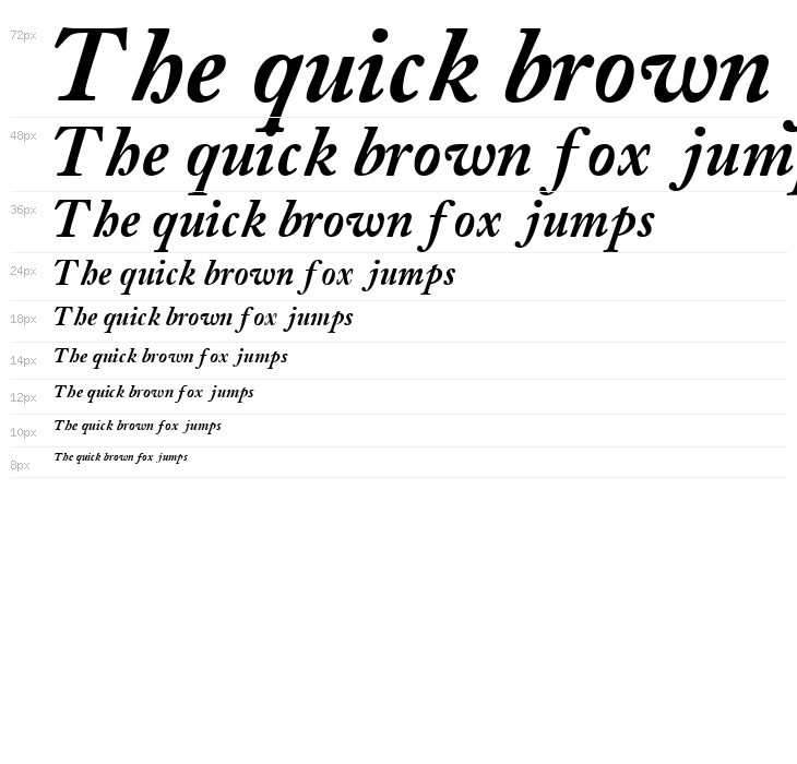CaslonBlackSSK Italic Waterfall