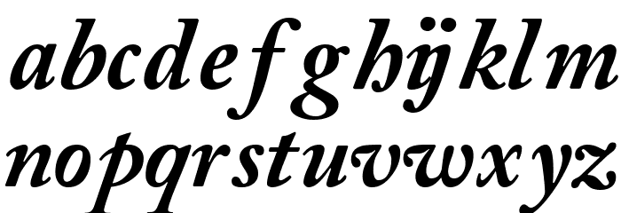CaslonBlackSSK Italic Font LOWERCASE