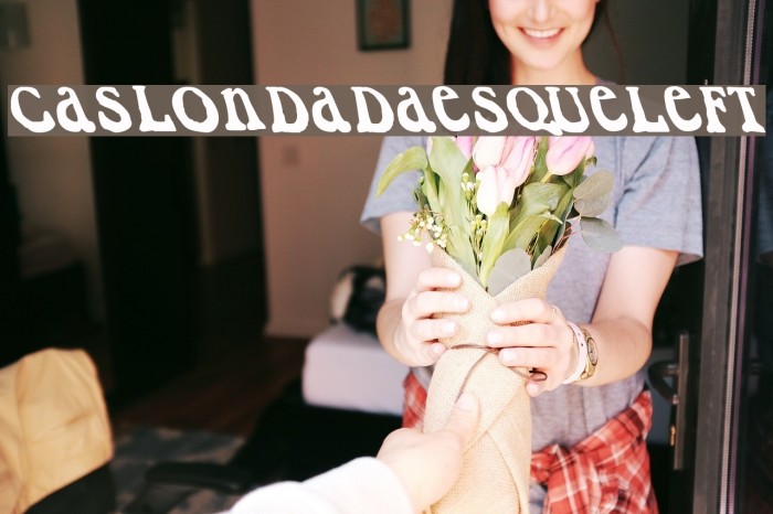 CaslonDadaesqueLeft Font examples