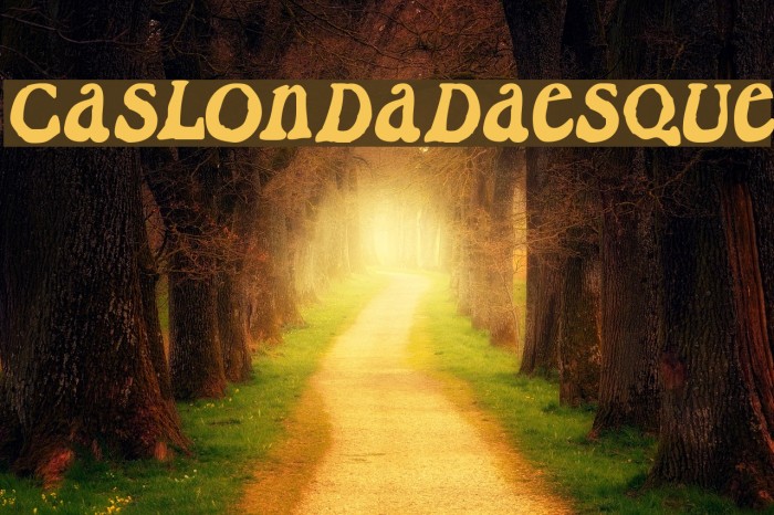 CaslonDadaesque Font examples