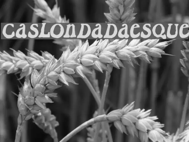 CaslonDadaesque Font examples
