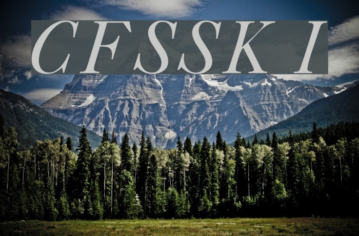 CaslonFiveSSK Italic Font examples
