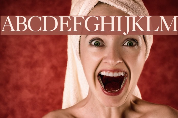 CaslonFiveSSK Font examples
