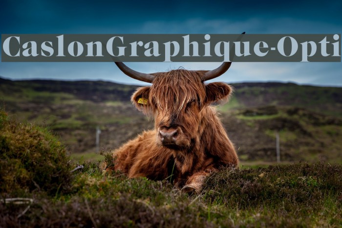 CaslonGraphique-Opti Font examples