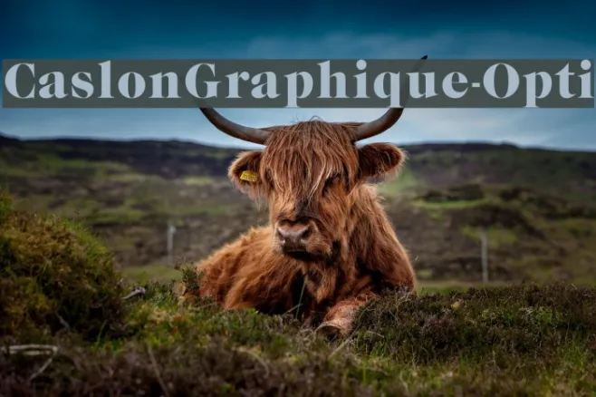 CaslonGraphique-Opti Example 3