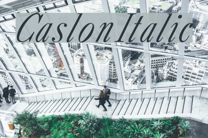 CaslonItalic Font examples