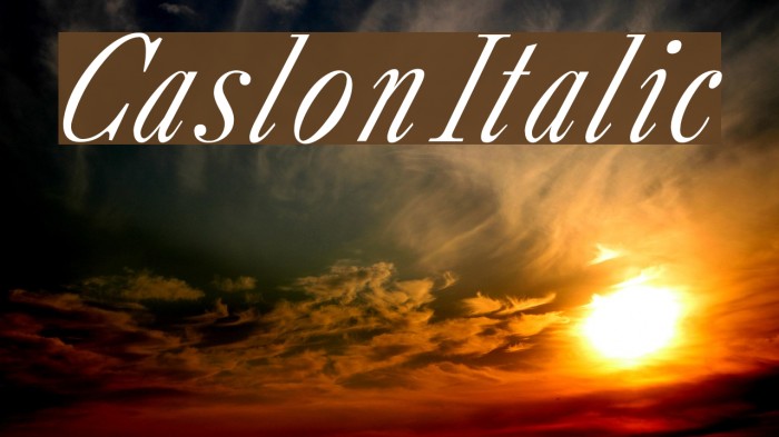 CaslonItalic Font examples