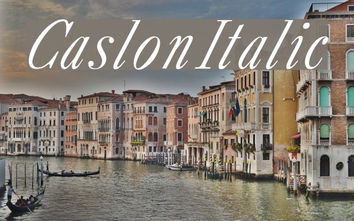 CaslonItalic Font examples