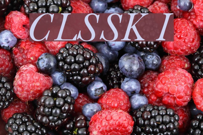 CaslonLightSSK Italic Font examples