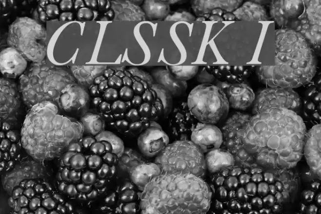 CaslonLightSSK Italic examples