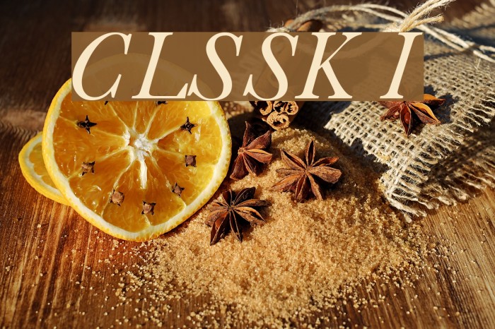 CaslonLightSSK Italic Font examples