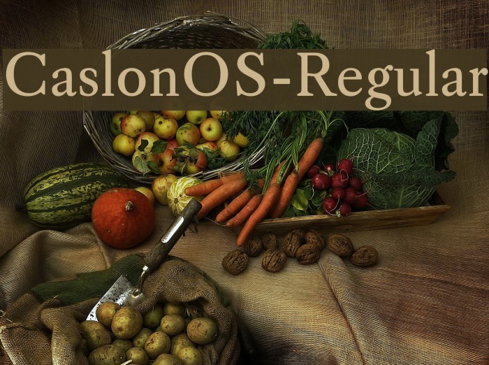 CaslonOS-Regular Font examples