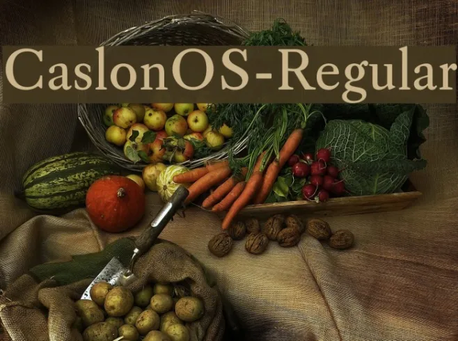 CaslonOS-Regular Example 1