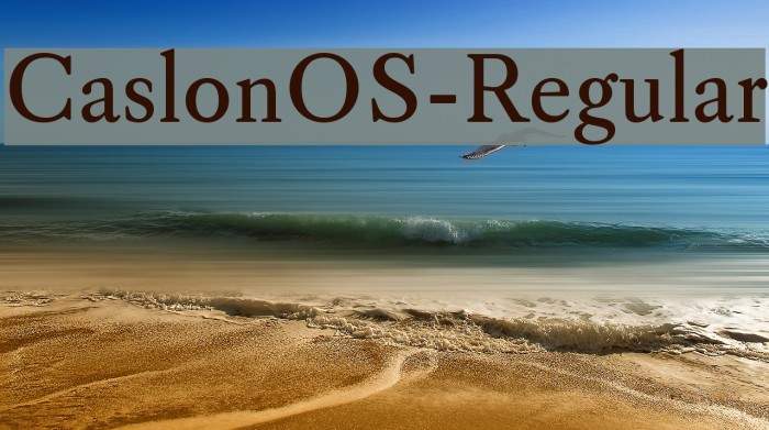 CaslonOS-Regular Font examples