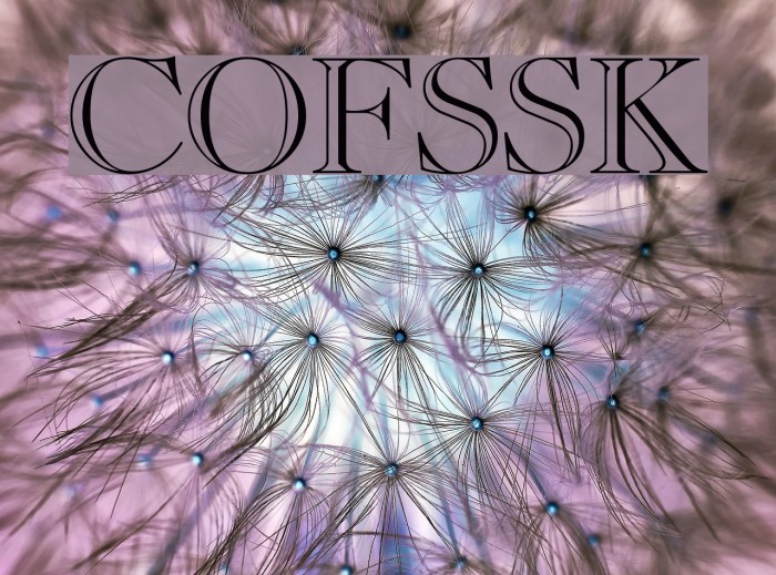 CaslonOpenFaceSSK Font examples
