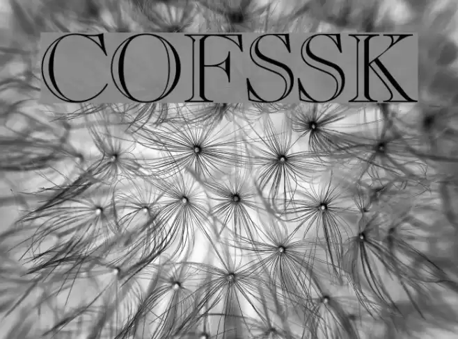 CaslonOpenFaceSSK Polices examples
