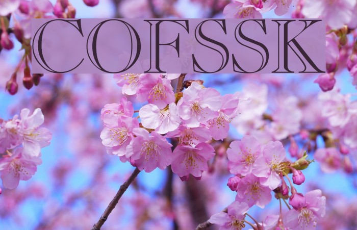 CaslonOpenFaceSSK Font examples