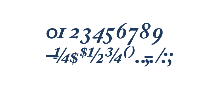 CaslonProBlackSSK Italic Other Characters