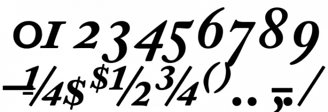 CaslonProBlackSSK Italic Font OTHER CHARS