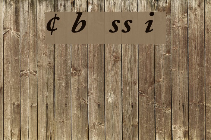 CaslonProBlackSSK Italic Example 2