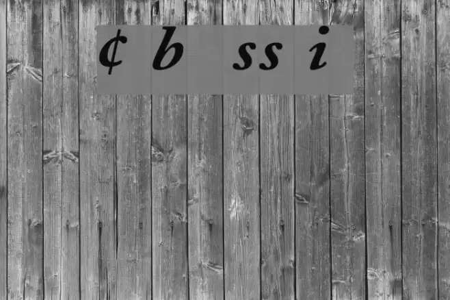 CaslonProBlackSSK Italic Font examples