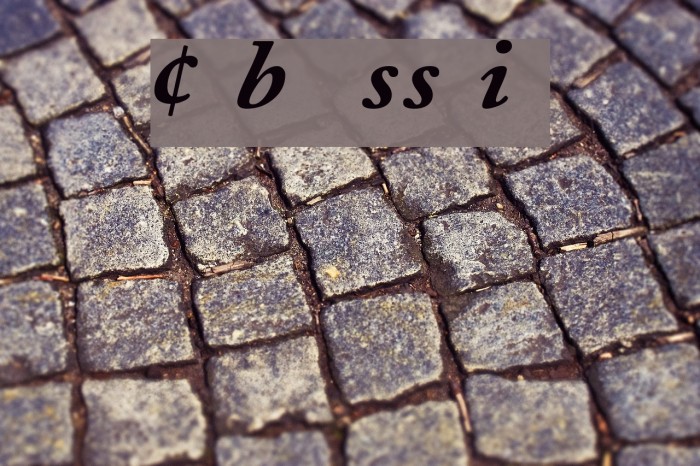 CaslonProBlackSSK Italic Example 3