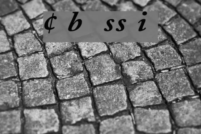 CaslonProBlackSSK Italic Font examples