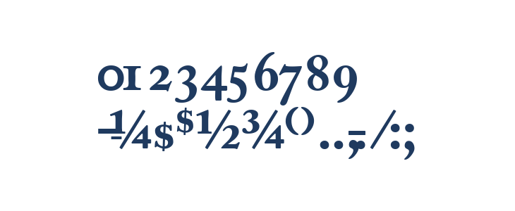 CaslonProBlackSSK Other Characters